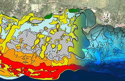 Thematic map display on BioMapper