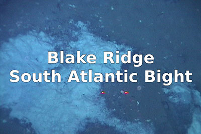 Underwater seafloor image with text Blake Ridge, South Atlantic Bight.