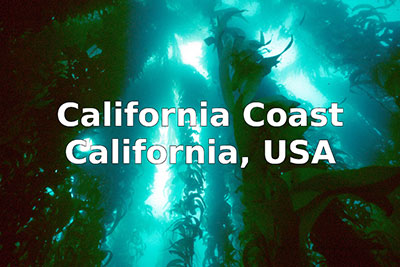 Image of underwater kelp forest with text California Coast, USA.