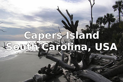 Image of shore with driftwood with text Capers Island, South Carolina, USA.