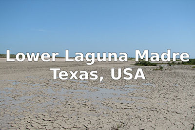 Image of shore during low tide with text Lower Laguna Madre, Texas, USA.
